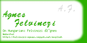 agnes felvinczi business card